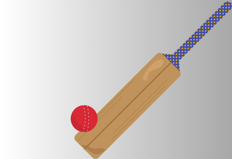 Cricket Bat